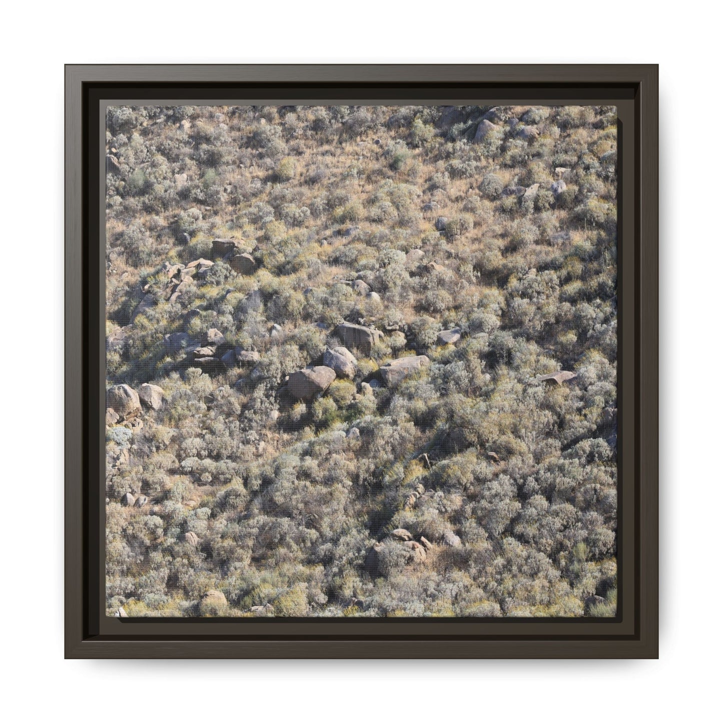Arid Terrain Study - Unique Stretched Canvas Wall Art - Art By Earth