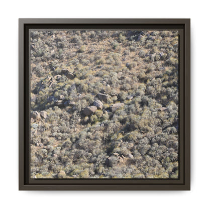 Arid Terrain Study - Unique Stretched Canvas Wall Art - Art By Earth