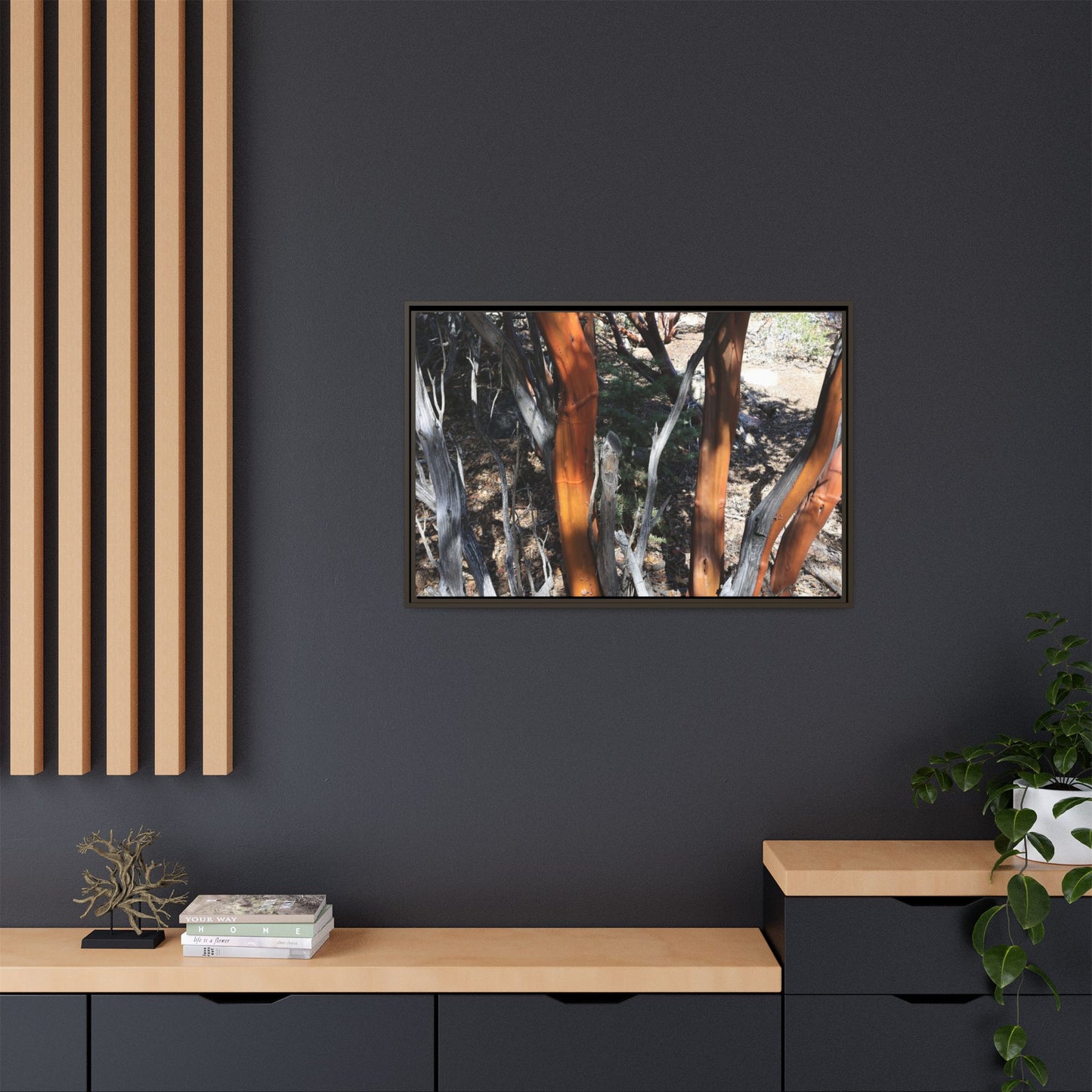 Eucalyptus Grove - Unique Stretched Canvas Wall Art