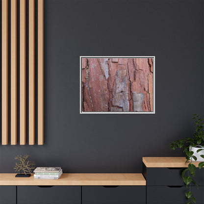 Peeling Bark - Unique Stretched Canvas Wall Art - Art By Earth