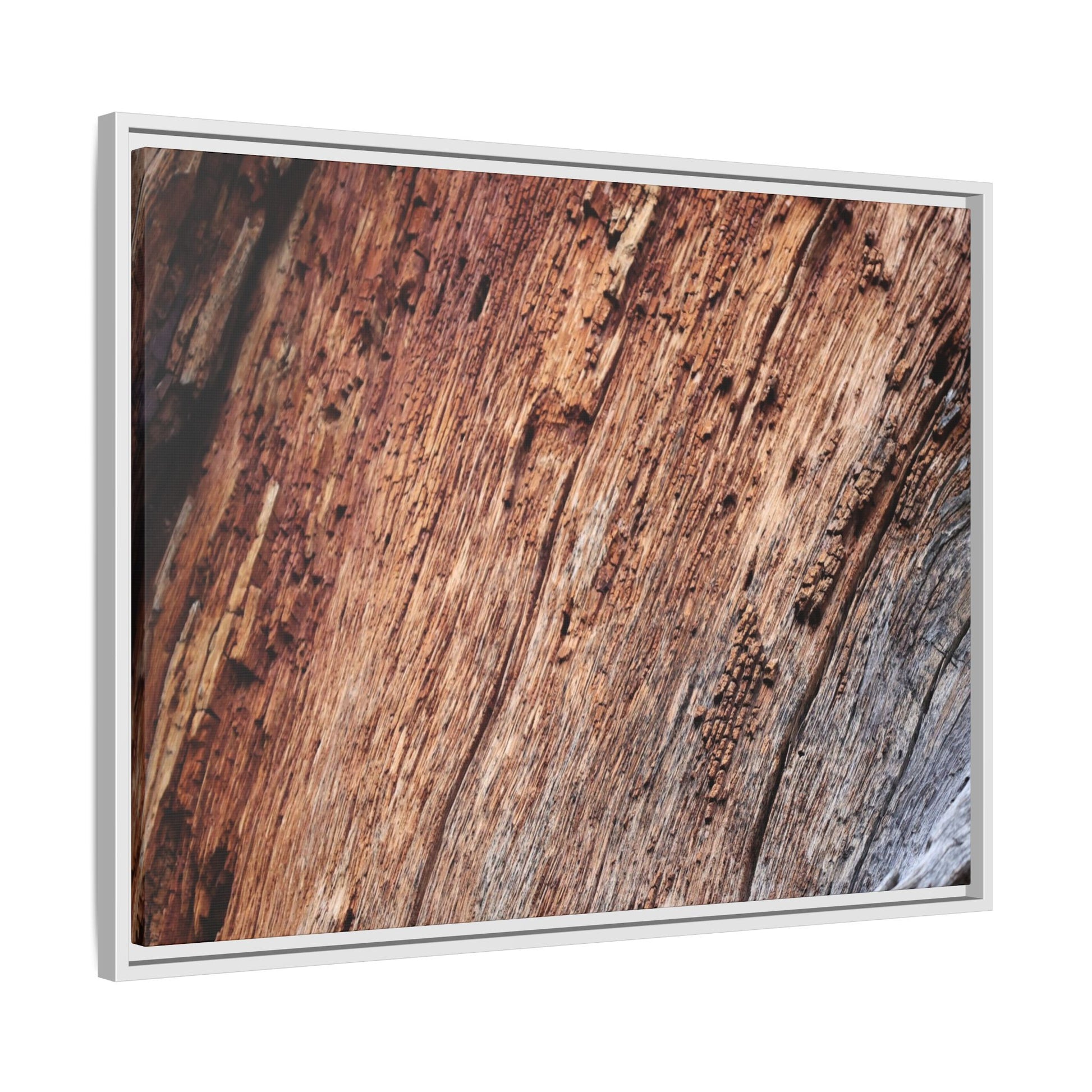 Time's Mark - Unique Stretched Canvas Wall Art - Art By Earth