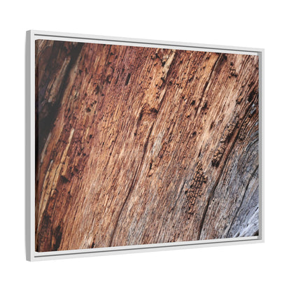 Time's Mark - Unique Stretched Canvas Wall Art - Art By Earth