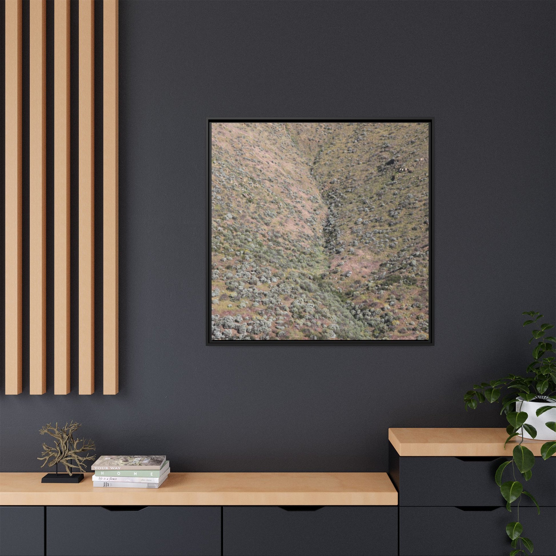 Mountain Slope with Desert Vegetation - Unique Stretched Canvas Wall Art - Art By Earth