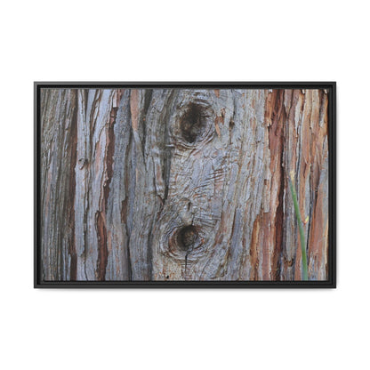 Knotty Nature - Unique Stretched Canvas Wall Art - Art By Earth