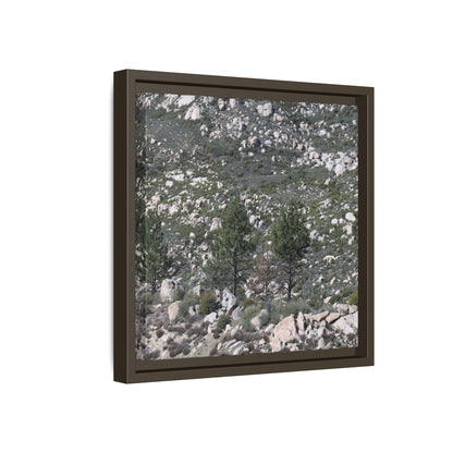Rocky Hillside with Pine Trees - Unique Stretched Canvas Wall Art - Art By Earth