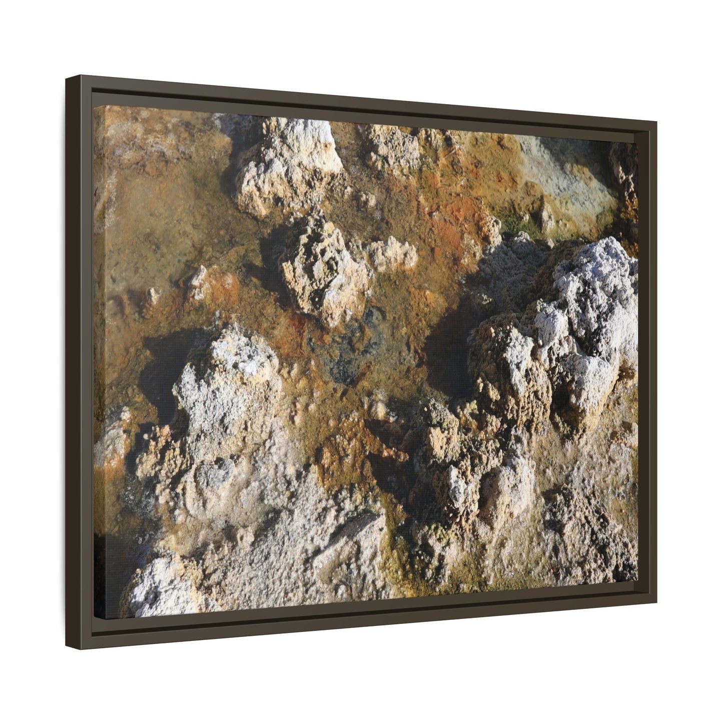 Textural Metamorphosis - Unique Stretched Canvas Wall Art