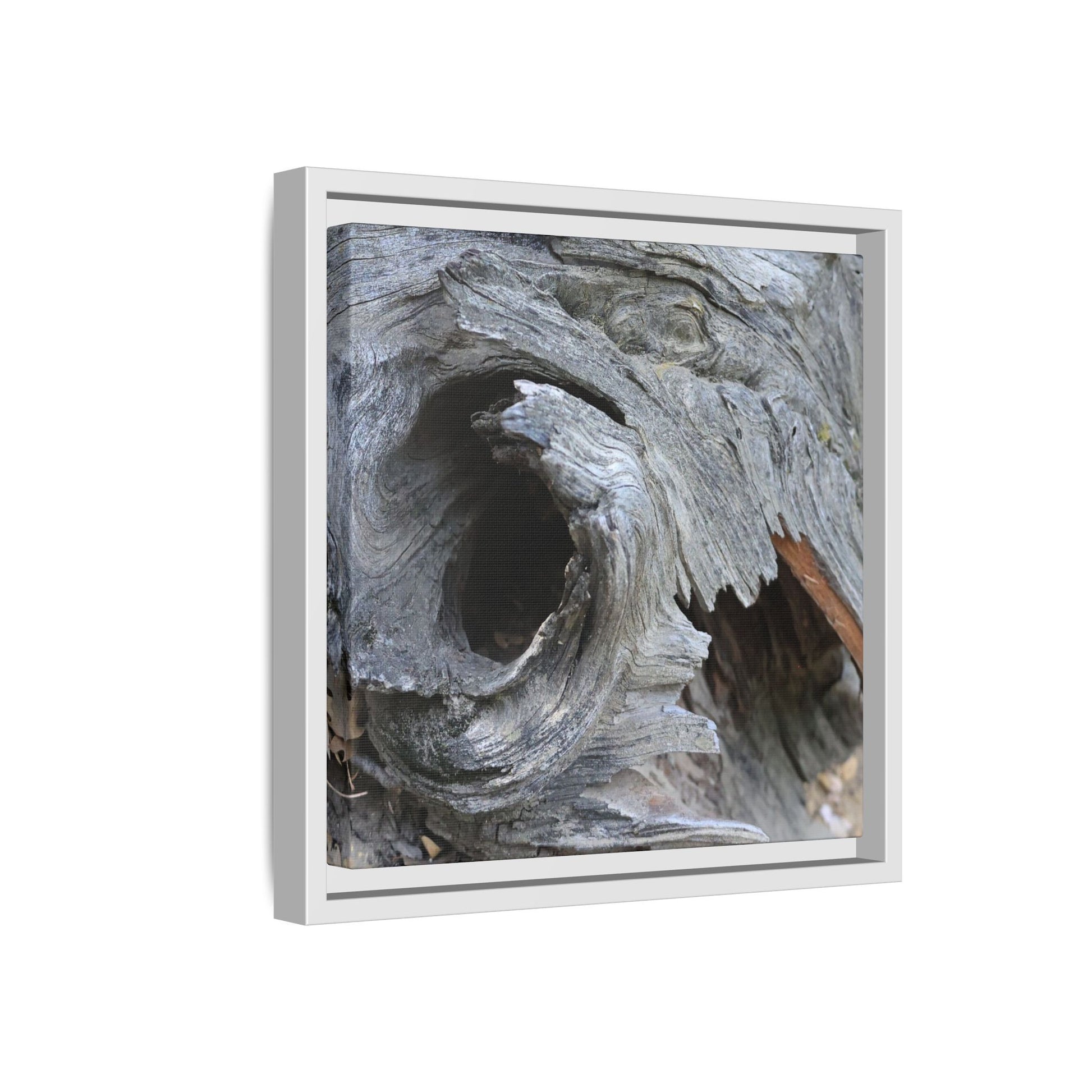 Bark's Labyrinth - Unique Stretched Canvas Wall Art - Art By Earth