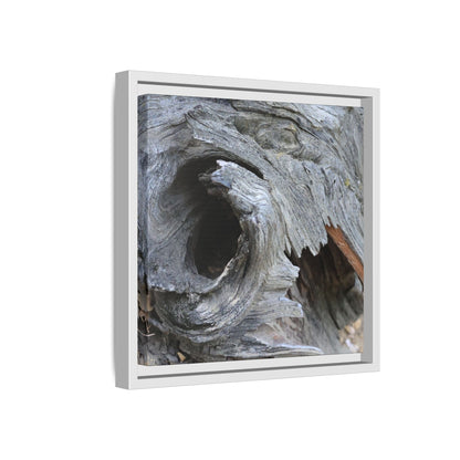Bark's Labyrinth - Unique Stretched Canvas Wall Art - Art By Earth