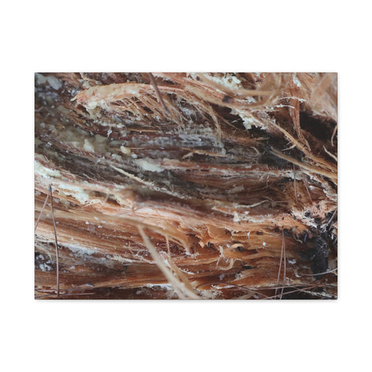 Decaying Whispers - Unique Frameless Canvas Wall Art - Art By Earth