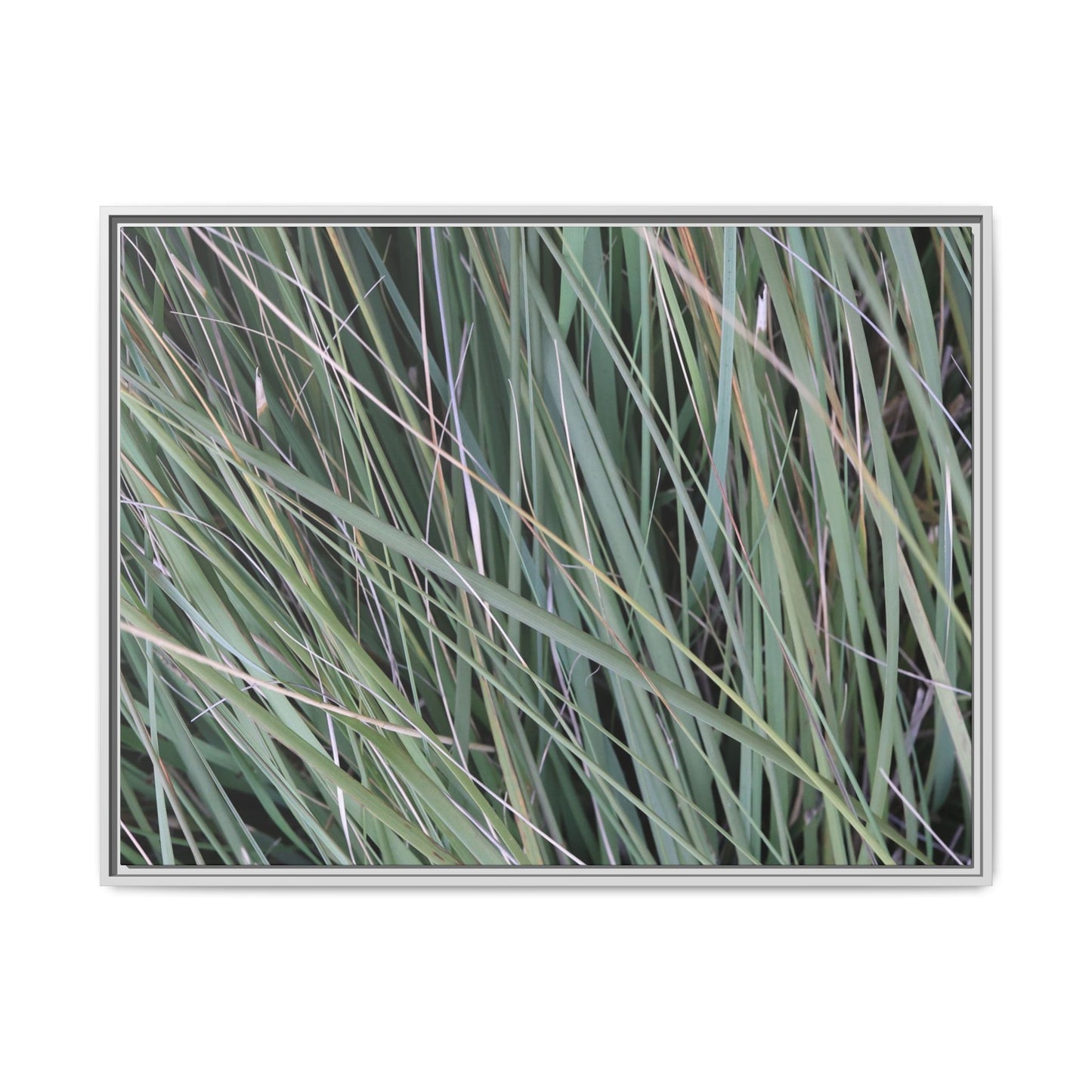 Grassland Symphony - Unique Stretched Canvas Wall Art - Art By Earth