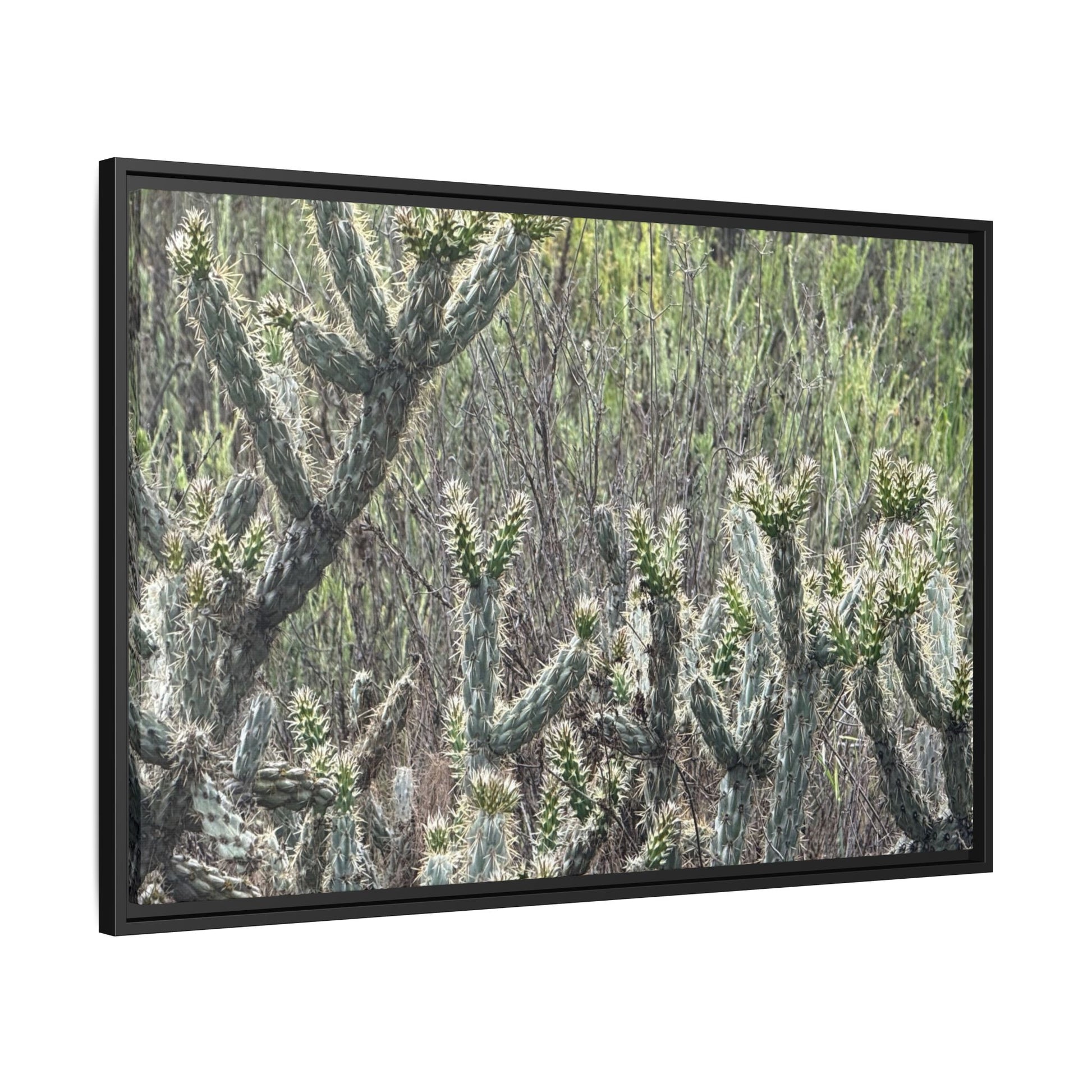 Prickly Paradise - Unique Stretched Canvas Wall Art - Art By Earth