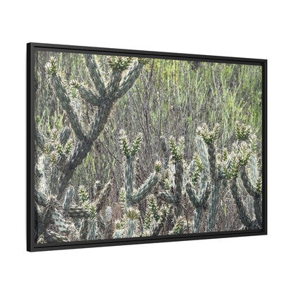 Prickly Paradise - Unique Stretched Canvas Wall Art - Art By Earth