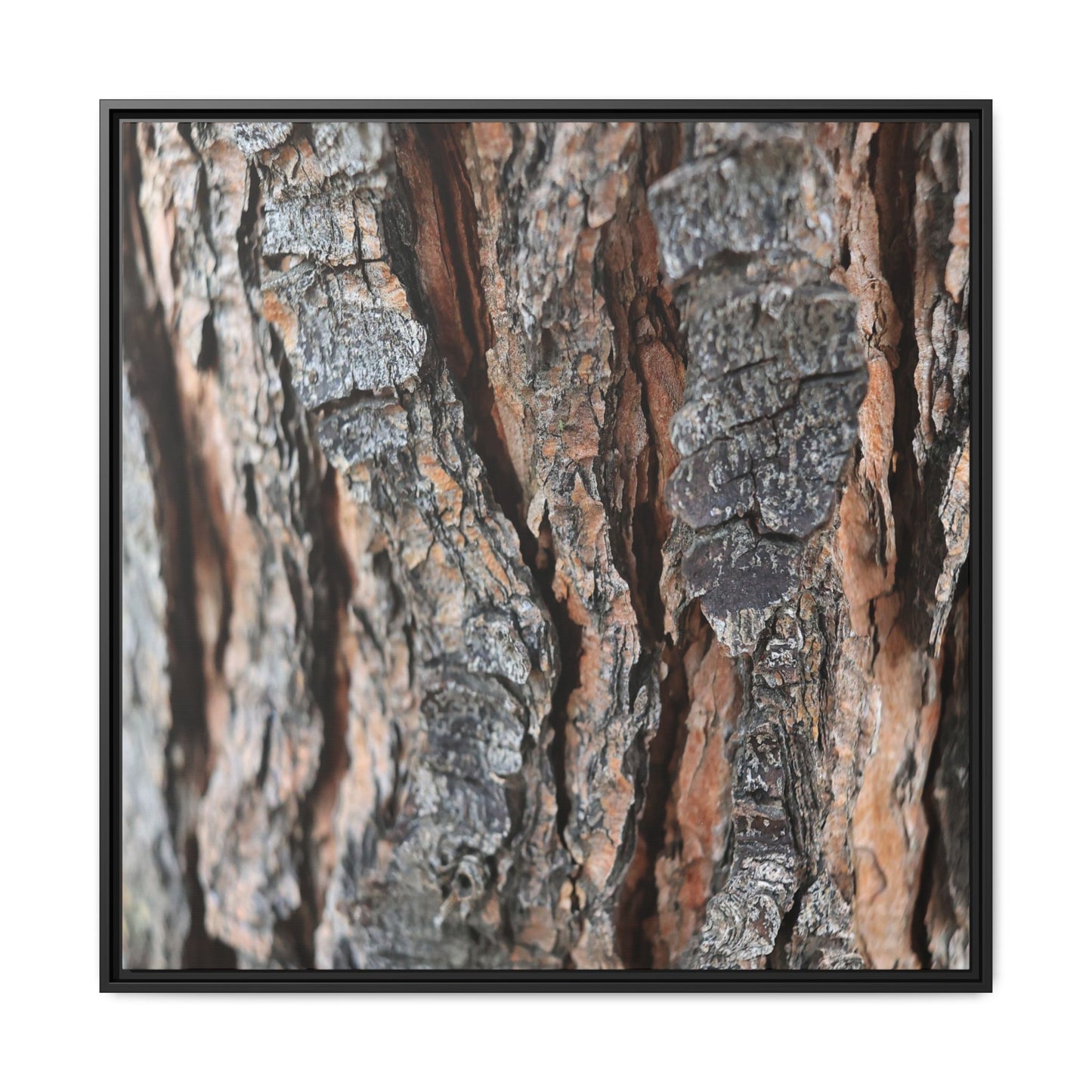 Fractured Nature - Unique Stretched Canvas Wall Art - Art By Earth