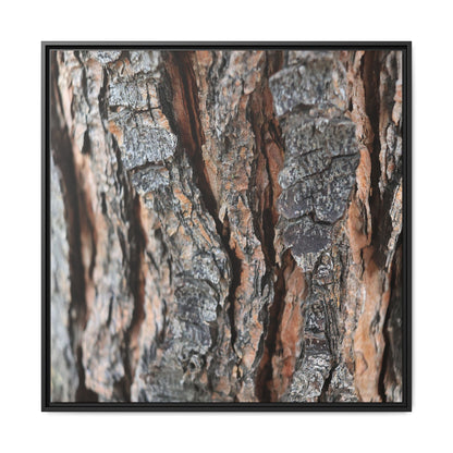 Fractured Nature - Unique Stretched Canvas Wall Art - Art By Earth