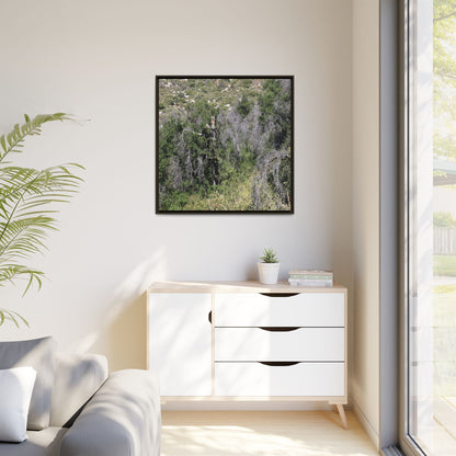 Forest Decline - Unique Stretched Canvas Wall Art