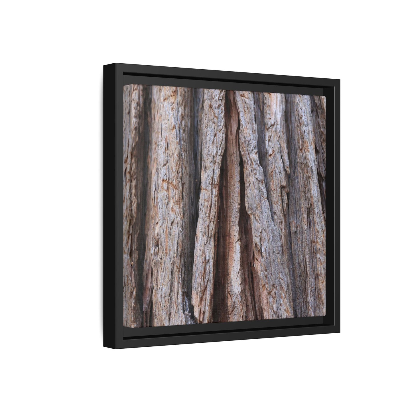 Nature's Sculpture - Unique Stretched Canvas Wall Art - Art By Earth