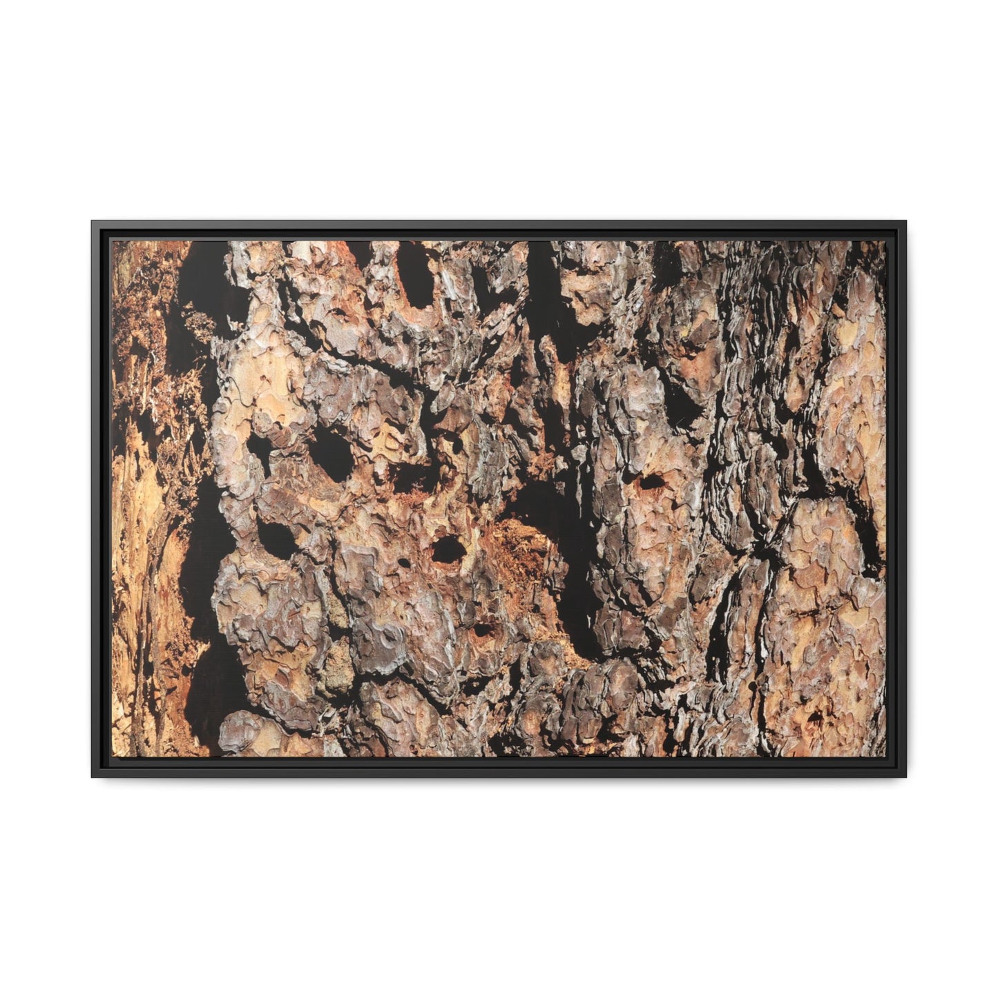 Rugged Rhythms - Unique Stretched Canvas Wall Art - Art By Earth