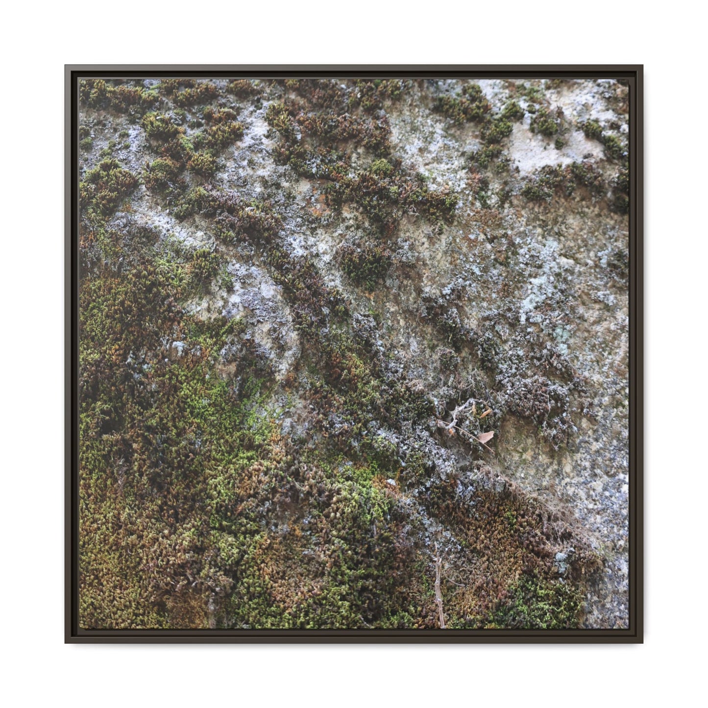 Mossy Whispers - Unique Stretched Canvas Wall Art - Art By Earth