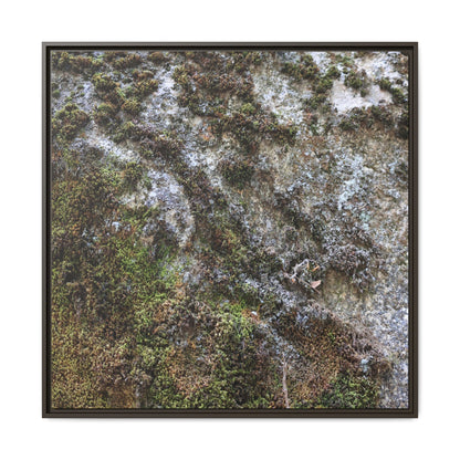 Mossy Whispers - Unique Stretched Canvas Wall Art - Art By Earth