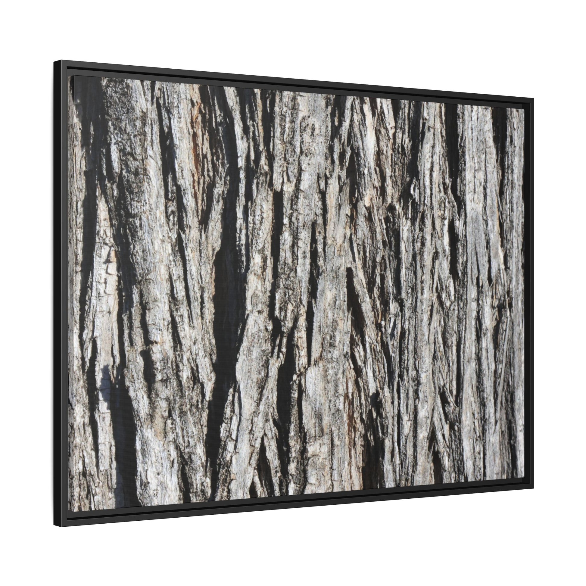 Nature's Abstract - Unique Stretched Canvas Wall Art - Art By Earth