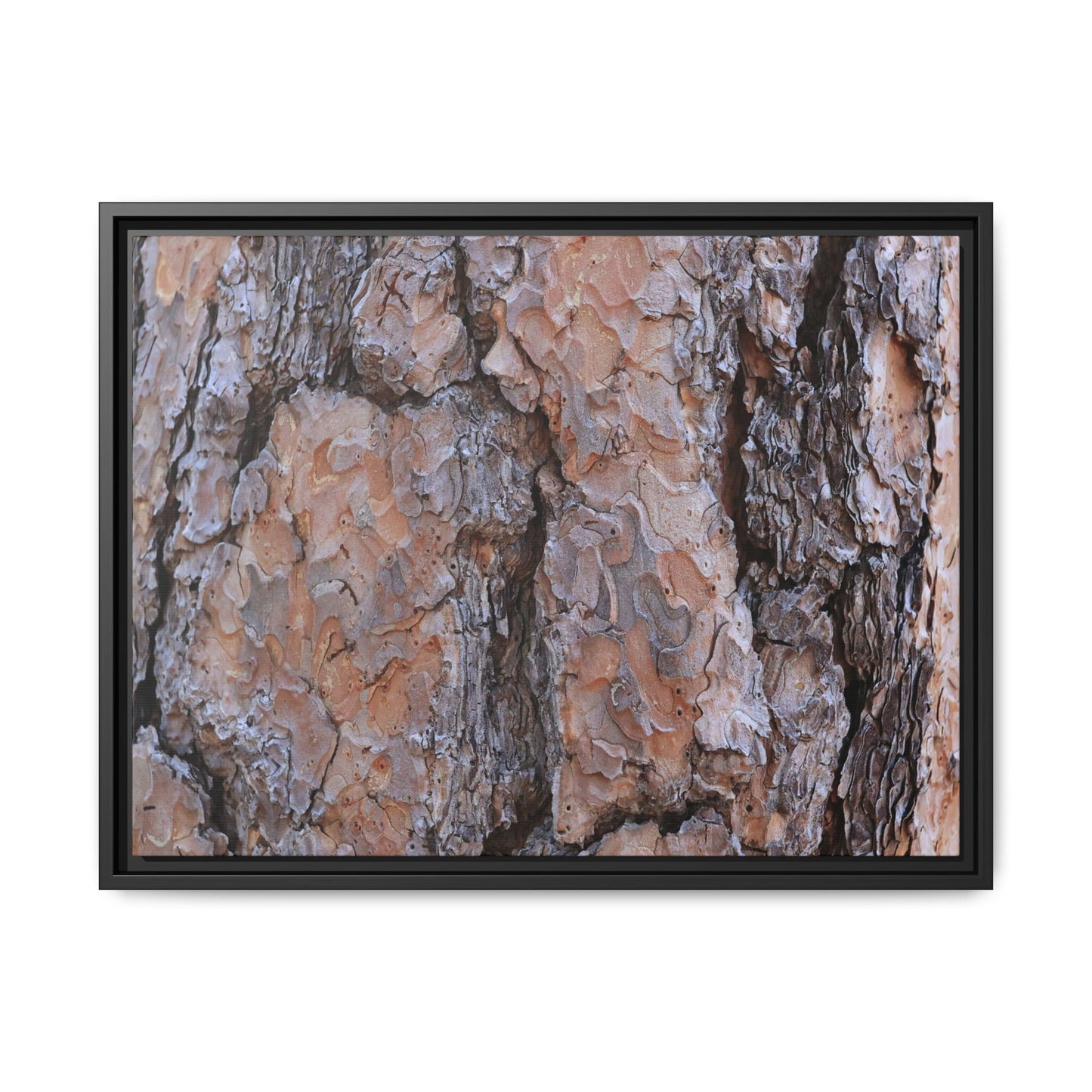 Tree Skin Symphony - Unique Stretched Canvas Wall Art - Art By Earth