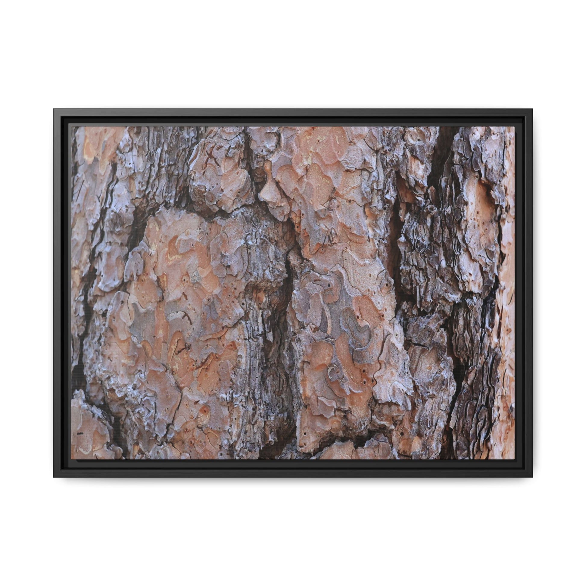 Tree Skin Symphony - Unique Stretched Canvas Wall Art - Art By Earth