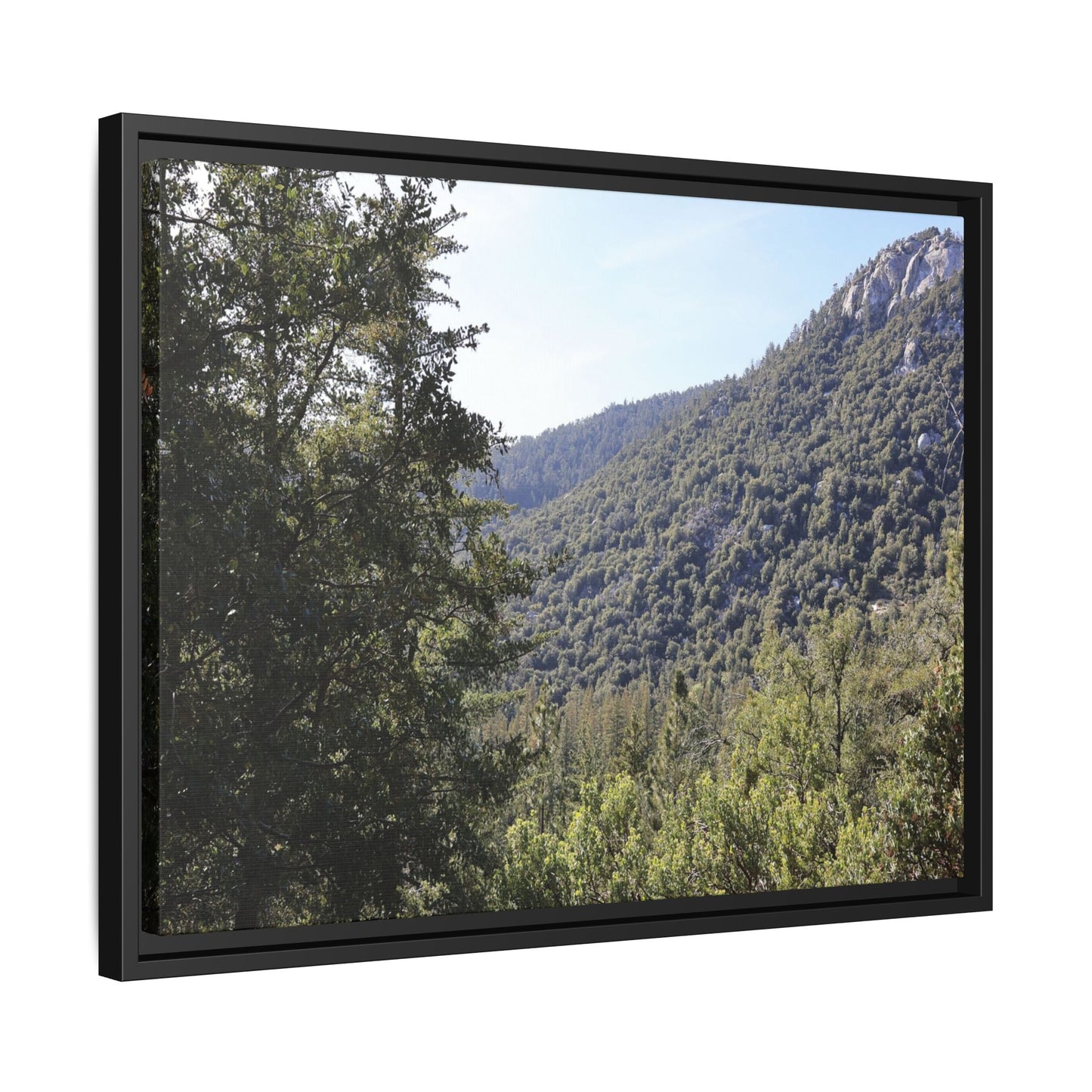 Mountain Valley Forest - Unique Stretched Canvas Wall Art