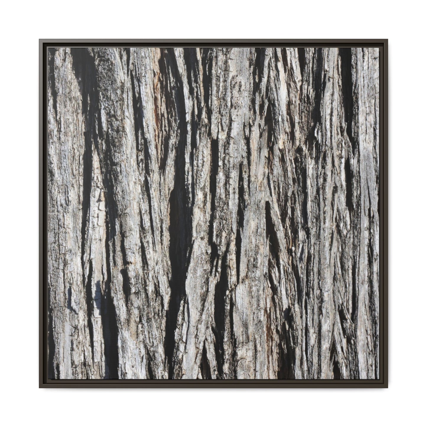 Bark Lines - Unique Stretched Canvas Wall Art - Art By Earth