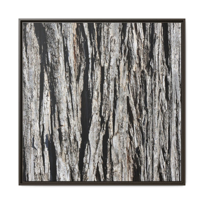 Bark Lines - Unique Stretched Canvas Wall Art - Art By Earth
