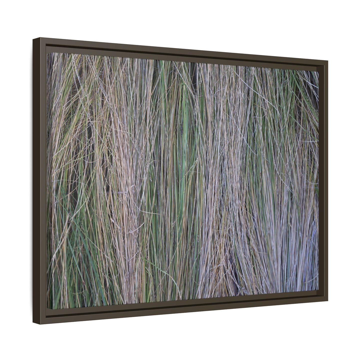 Whispers of Silver Grass - Unique Stretched Canvas Wall Art - Art By Earth