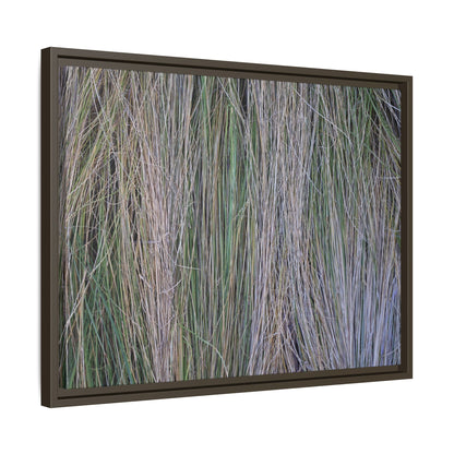 Whispers of Silver Grass - Unique Stretched Canvas Wall Art - Art By Earth