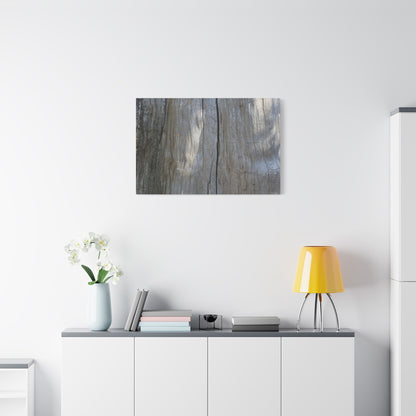 Split Log - Unique Frameless Canvas Wall Art