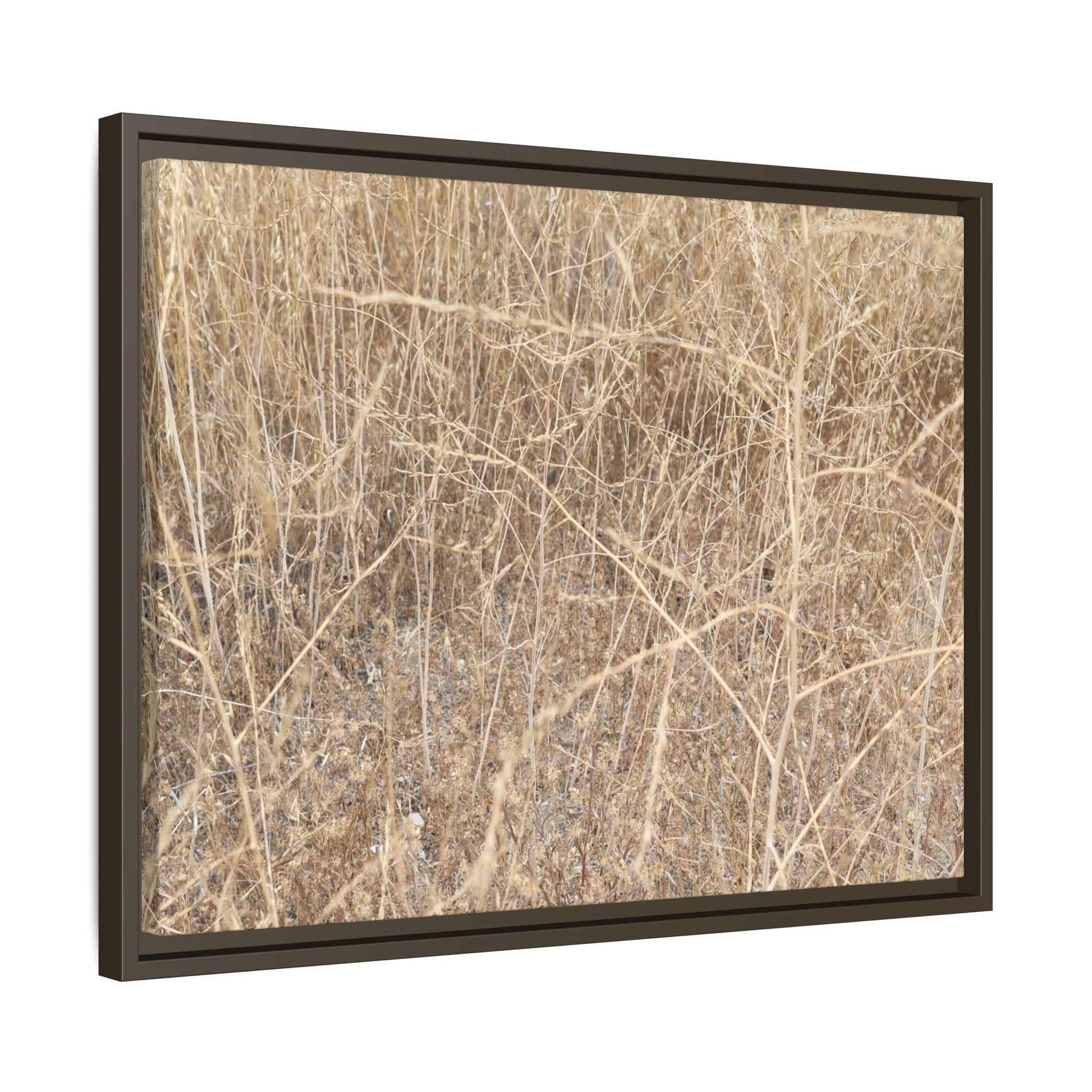 Golden Stalks - Unique Stretched Canvas Wall Art - Art By Earth