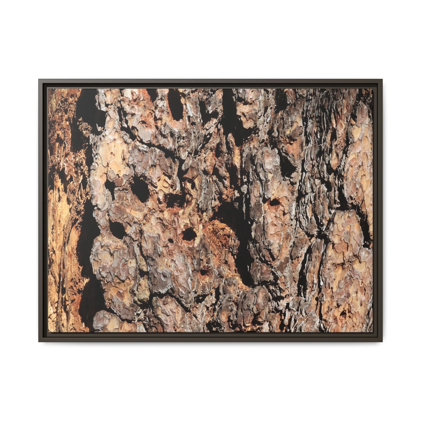 Rugged Rhythms - Unique Stretched Canvas Wall Art - Art By Earth