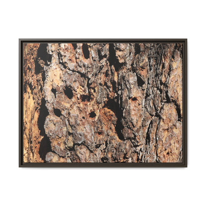 Rugged Rhythms - Unique Stretched Canvas Wall Art - Art By Earth