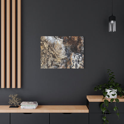 Weathered Bark Texture - Unique Frameless Canvas Wall Art - Art By Earth