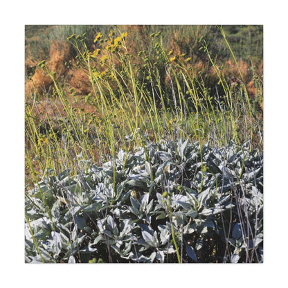 Desert Wildflowers in Bloom - Unique Frameless Canvas Wall Art - Art By Earth