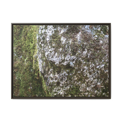 Lichen Landscape - Unique Stretched Canvas Wall Art - Art By Earth