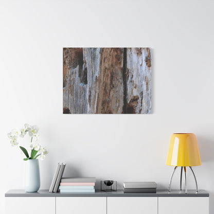 Timber Tapestry - Unique Frameless Canvas Wall Art - Art By Earth
