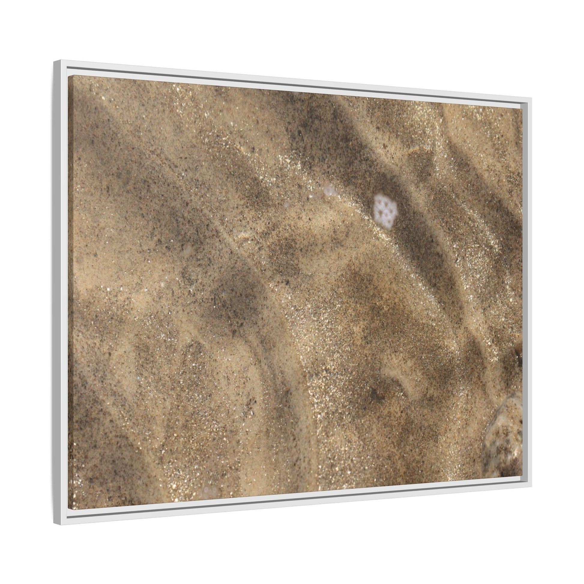 Underwater Sand Exploration - Unique Stretched Canvas Wall Art - Art By Earth