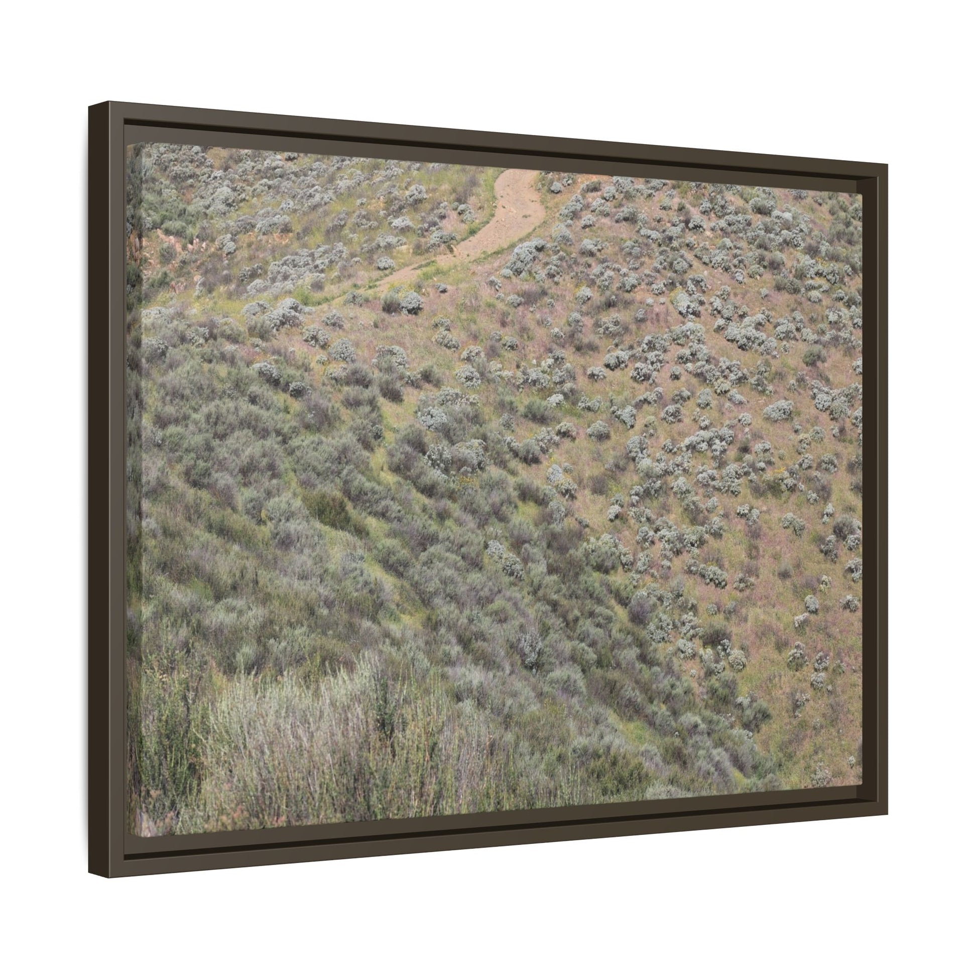 Arid Landscape with Winding Path - Unique Stretched Canvas Wall Art - Art By Earth