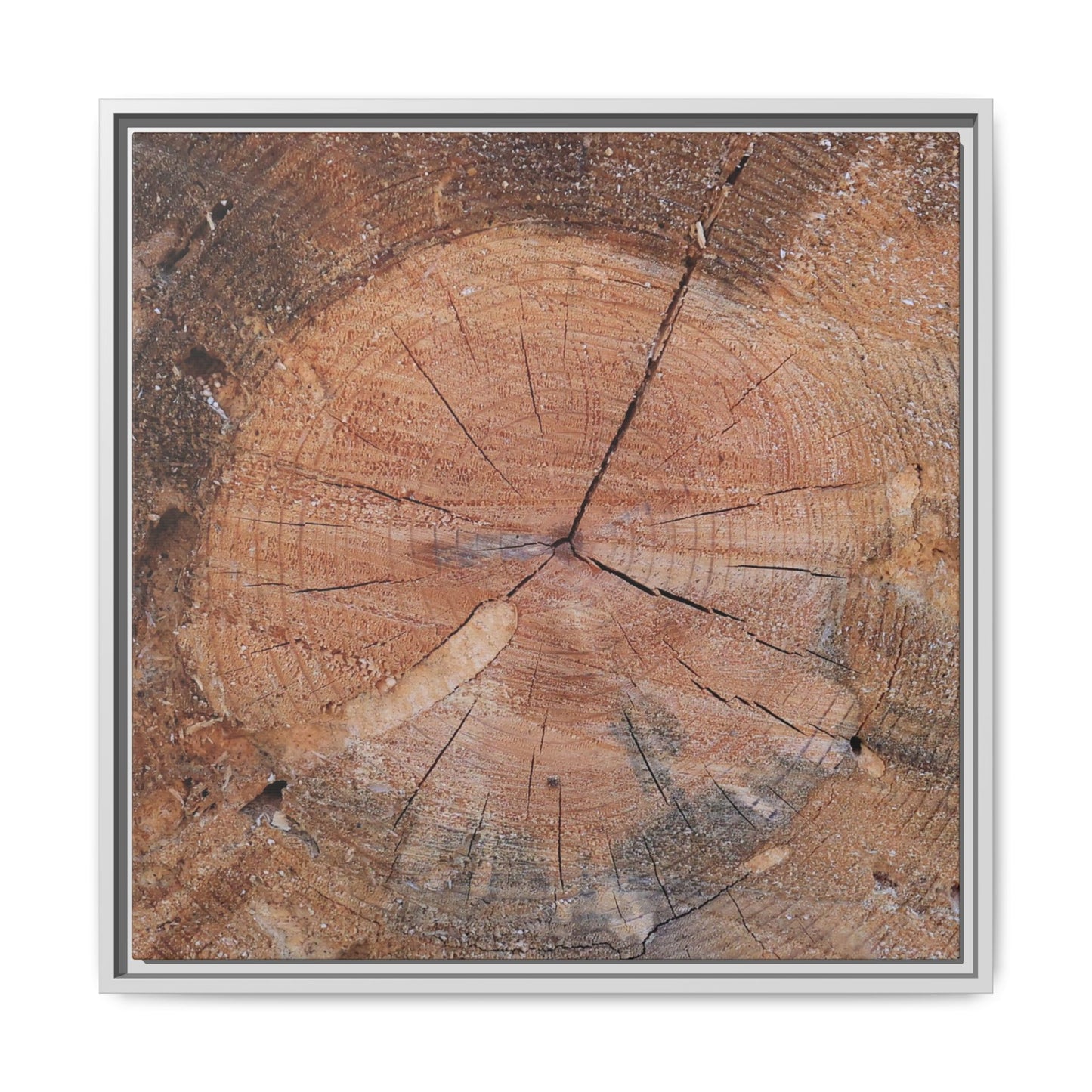 Concentric Memories - Unique Stretched Canvas Wall Art - Art By Earth