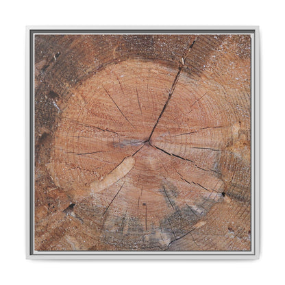 Concentric Memories - Unique Stretched Canvas Wall Art - Art By Earth