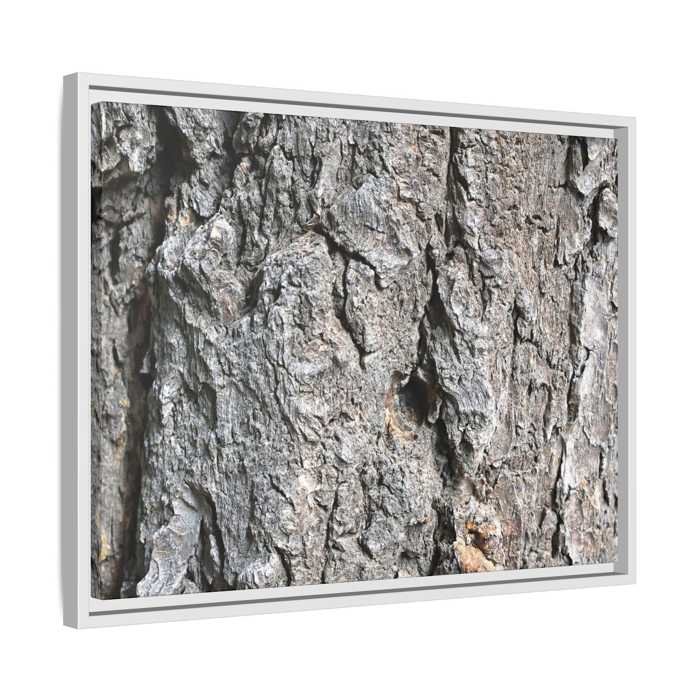 Crusty Exterior - Unique Stretched Canvas Wall Art - Art By Earth