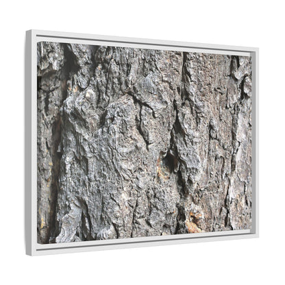 Crusty Exterior - Unique Stretched Canvas Wall Art - Art By Earth