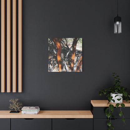 Peeling Bark of Ancient Trees - Unique Frameless Canvas Wall Art