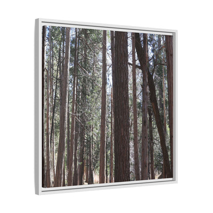 Forest Cathedral - Unique Stretched Canvas Wall Art - Art By Earth