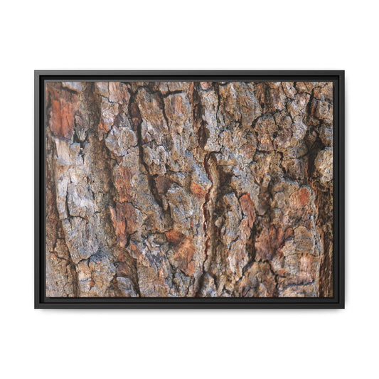 Tree's Timeworn Tale - Unique Stretched Canvas Wall Art - Art By Earth