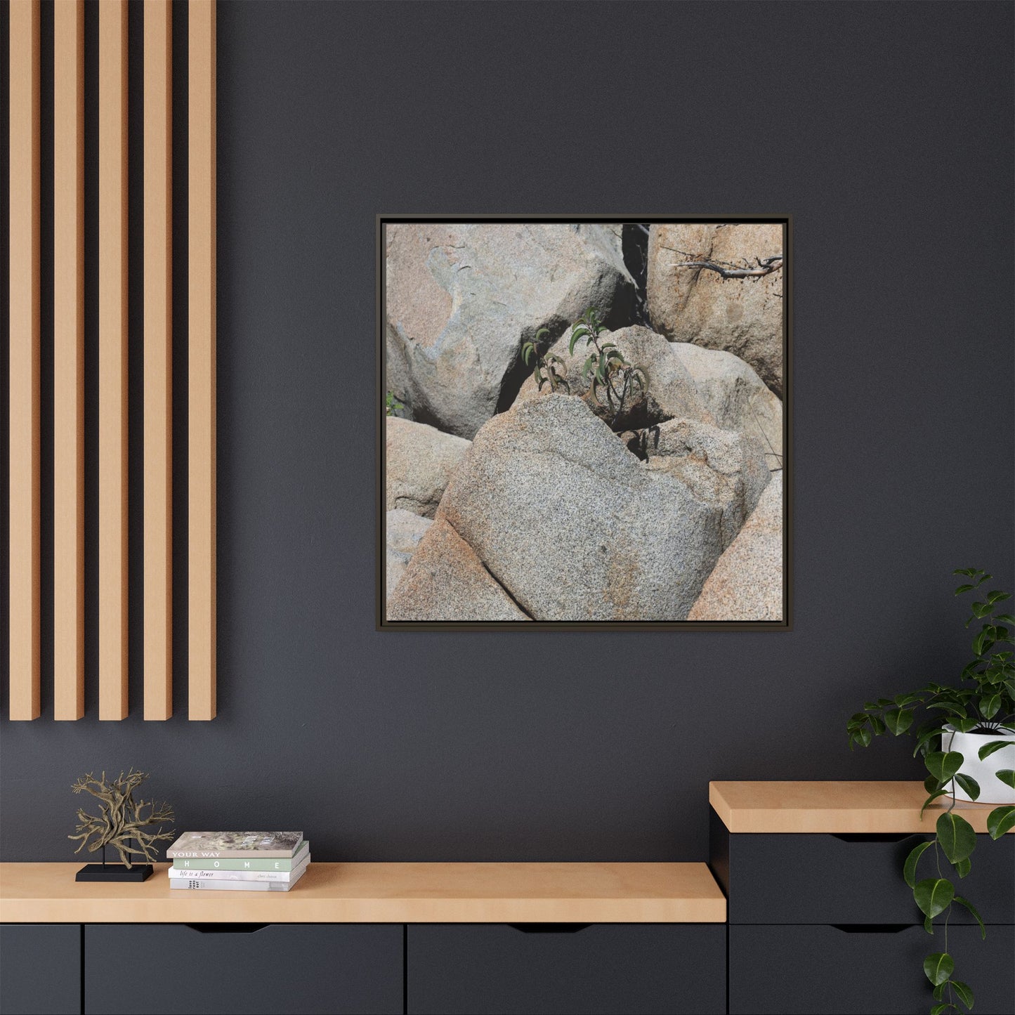 Desert Plant Thriving Among Rocks - Unique Stretched Canvas Wall Art