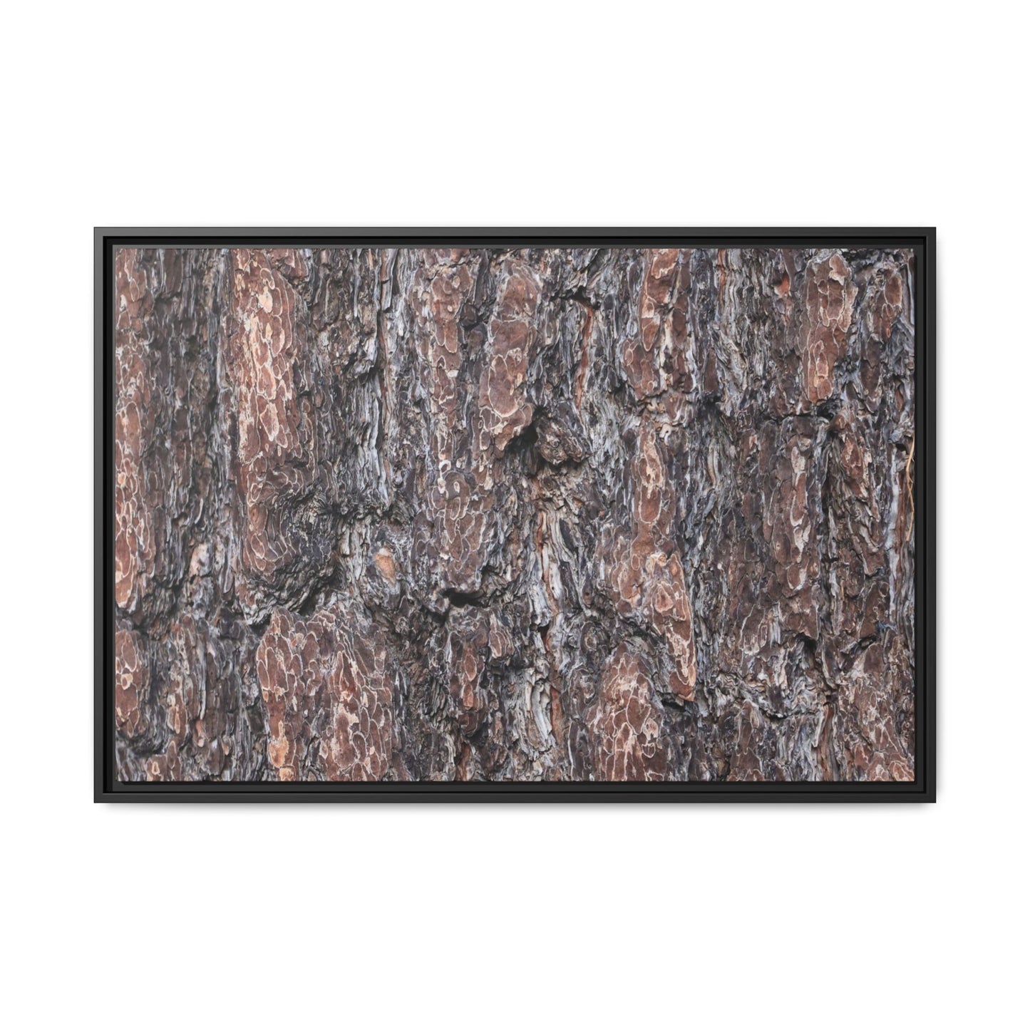 Echoes of Wood - Unique Stretched Canvas Wall Art